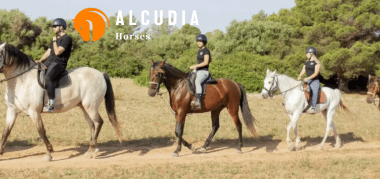 Alcudia Horses