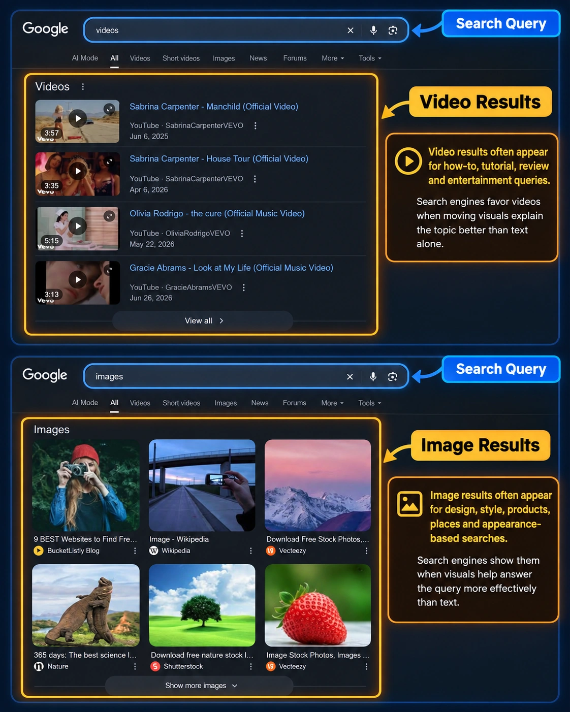 What is a SERP example showing Google image results and video results for visual search queries