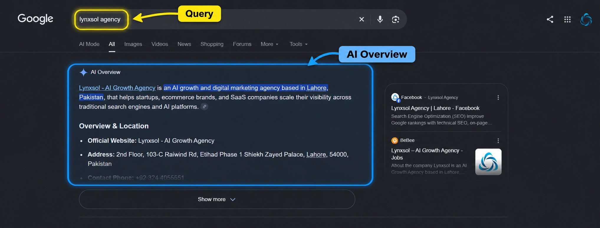 What is a SERP example showing a Google search query and AI Overview in search results